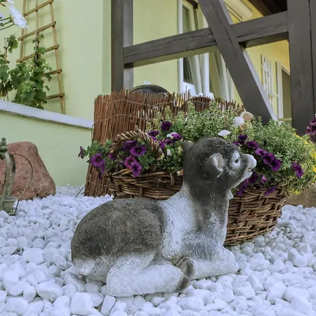 Lejlighed Ostseetraum Og